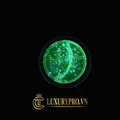 dong ho patek philippe fake tphcm 5