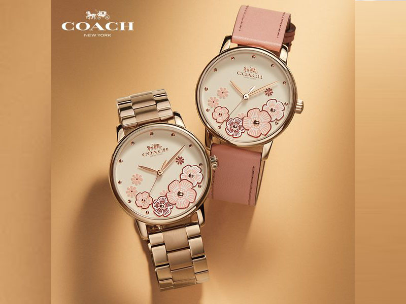Hình ảnh Đồng hồ Nữ Coach 14503057
