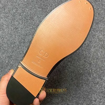 cac loai giay fake 8 1