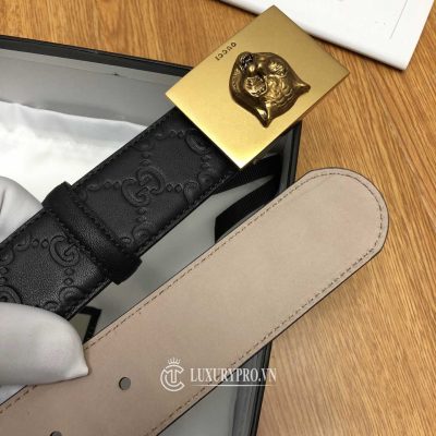 day nit gucci nam 4 1