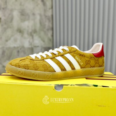 giay dep hang hieu gucci 6 1