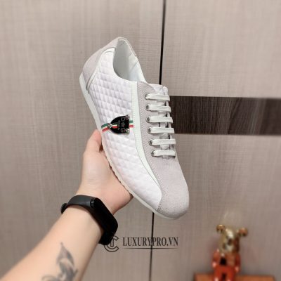 giay dolce gabbana 1 5