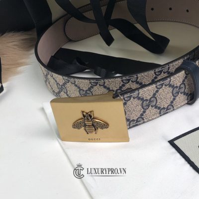 that lung da nam cao cap 3