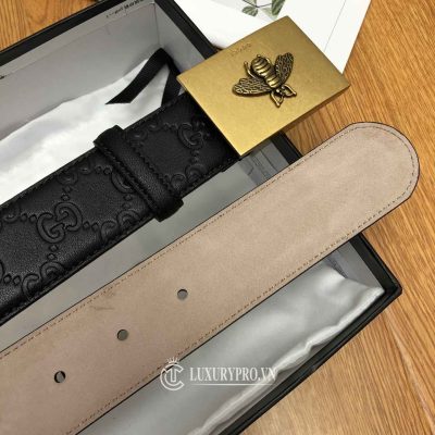 that lung gucci nam 3 3