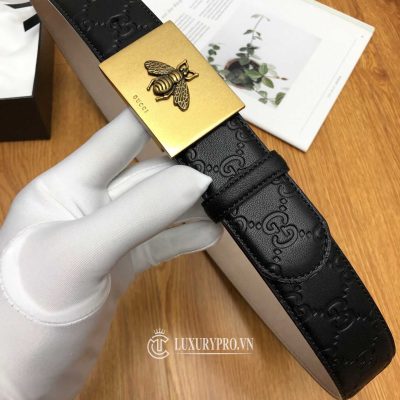 that lung gucci nam 6 1