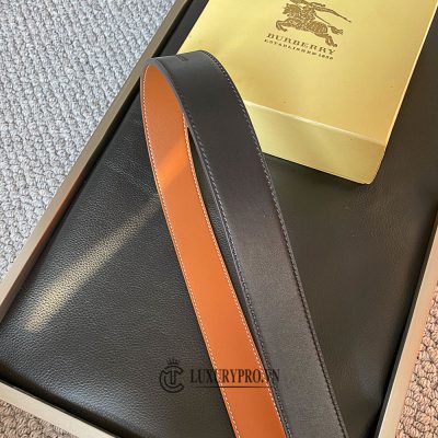 that lung burberry 2