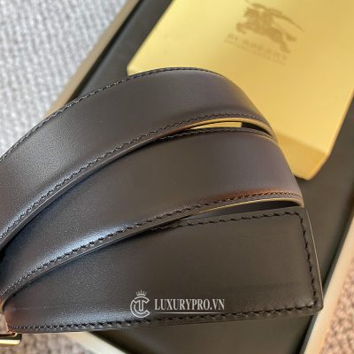 that lung burberry 5 2