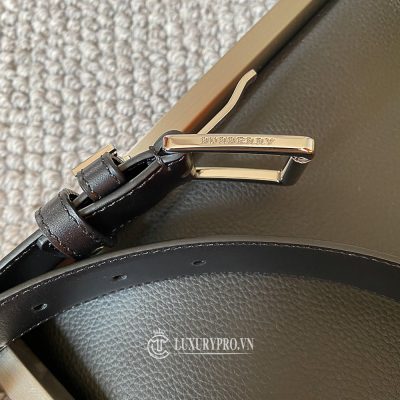 that lung burberry 6 2