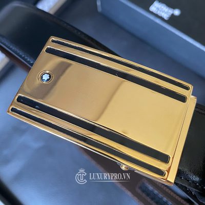 that lung montblanc 1 3