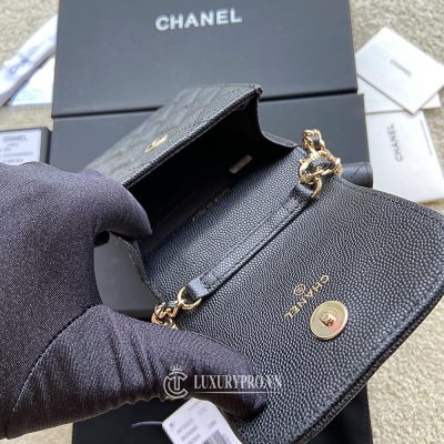 tui chanel f1 5 1