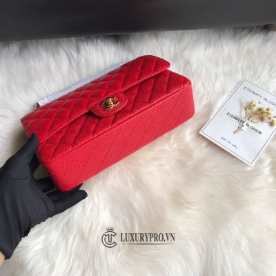 tui xach chanel deo cheo cao cap 4