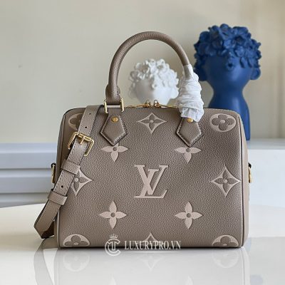 Túi xách Louis Vuitton