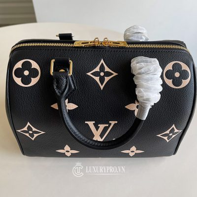 tui xach louis vuitton 5