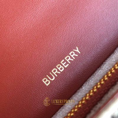 vi cam tay burberry nu hang hieu 8 2
