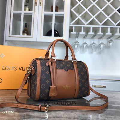 Túi xách Louis Vuitton