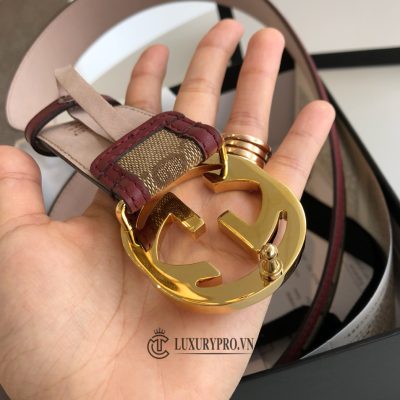 belt nu gucci 2 3