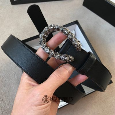 day nit gucci nu 2 6