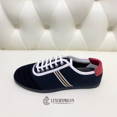 sneaker gucci luxury 2 4