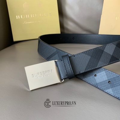 that lung burberry 1 1