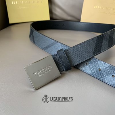 that lung burberry 1