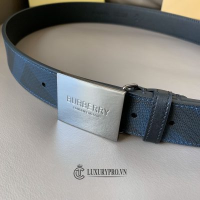 that lung burberry 3 1