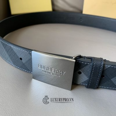 that lung burberry 3