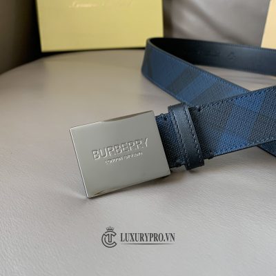 that lung burberry 4