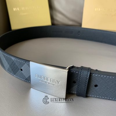 that lung burberry 5 2