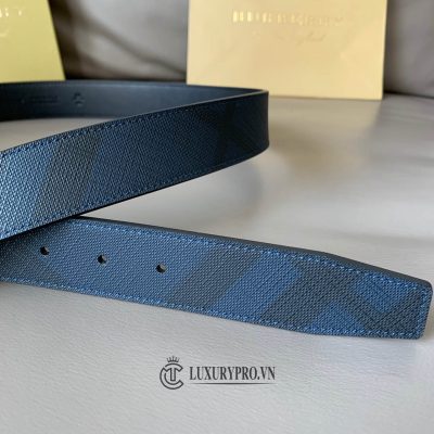 that lung burberry 5 3