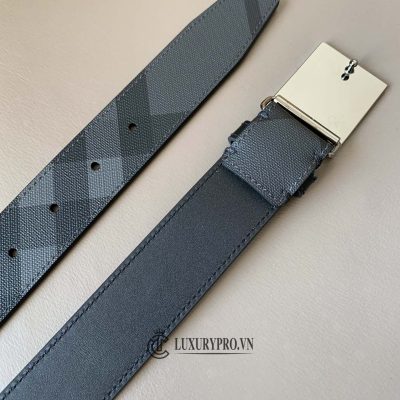 that lung burberry 5