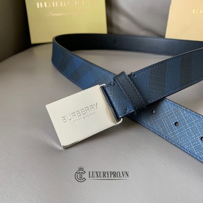 that lung burberry 6 1