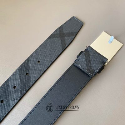 that lung burberry 6