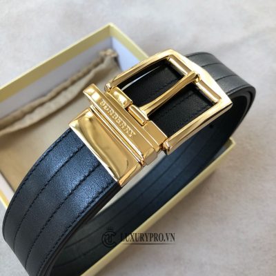 that lung burberry hang hieu 4