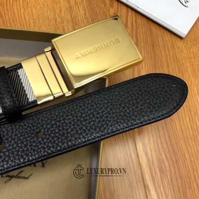 that lung burberry nam 2 1