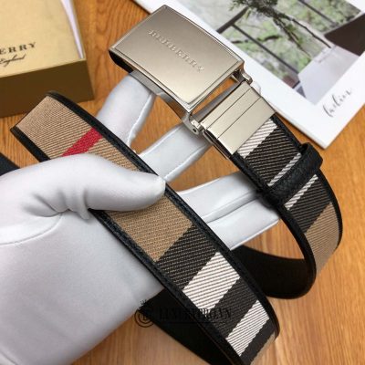 that lung burberry nam 2 2