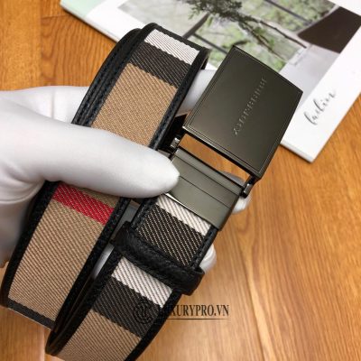 that lung burberry nam 4 1