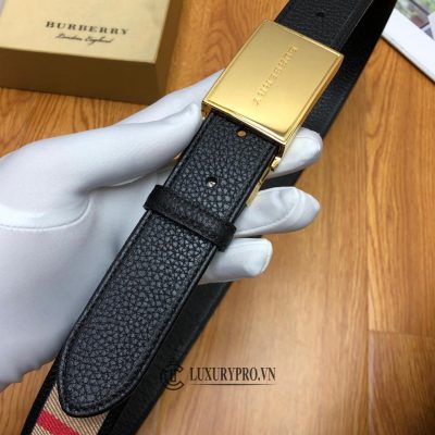 that lung burberry nam 6 1