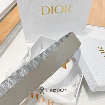 that lung dior nam gia re 1 2