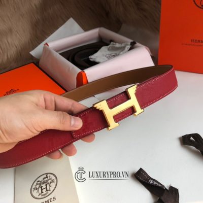 that lung hermes 2 1