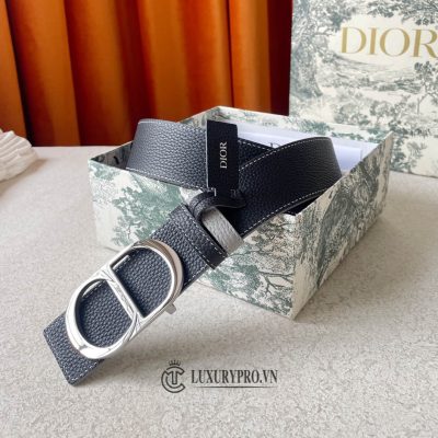 that lung nam dior 3 1