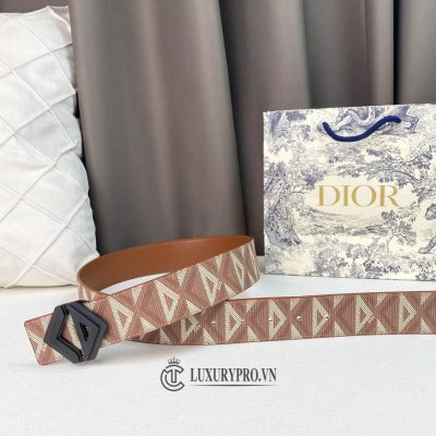 that lung nam hang hieu dior 3 1