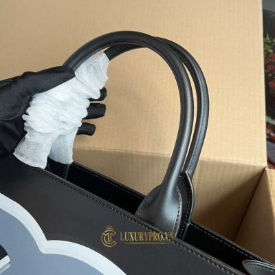 tui xach hang hieu dolce gabbana 5