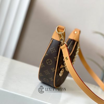 tui xach louis vuitton hang hieu 3