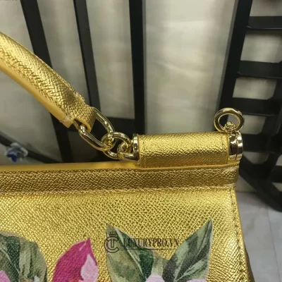 tui dolce gabbana 1 5