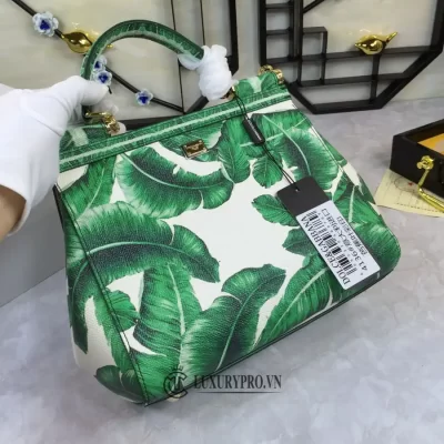 tui dolce gabbana 3 6