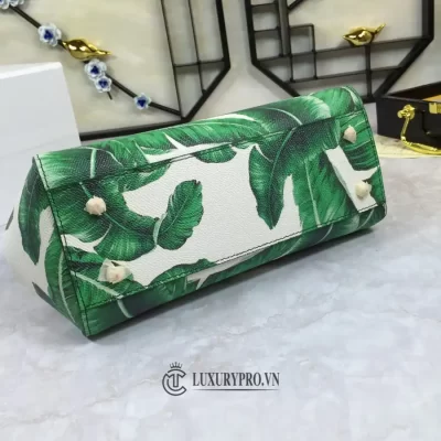 tui dolce gabbana 4 6