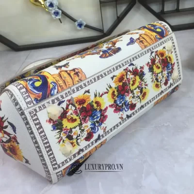 tui dolce gabbana 5 8