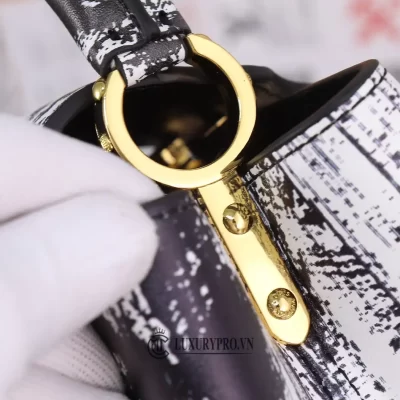 tui xach louis vuitton chinh hang gia bao nhieu 6 4