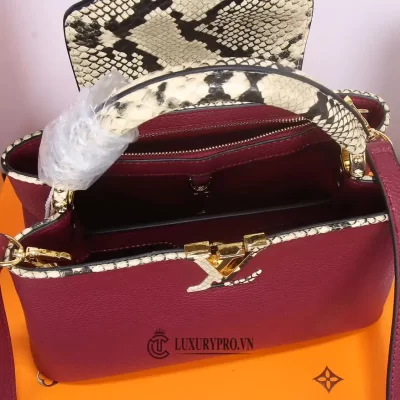 tui xach louis vuitton hang hieu 5 4