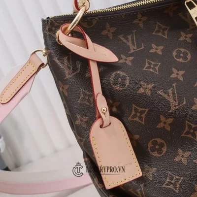 tui xach lv gia re 5 3